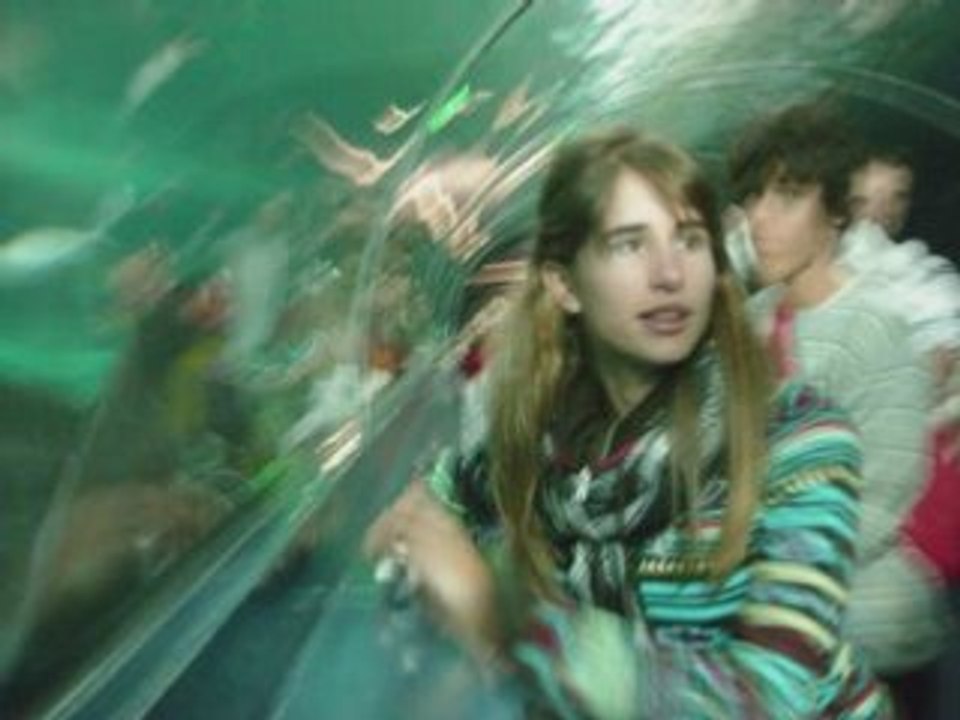 Aquarium sydney