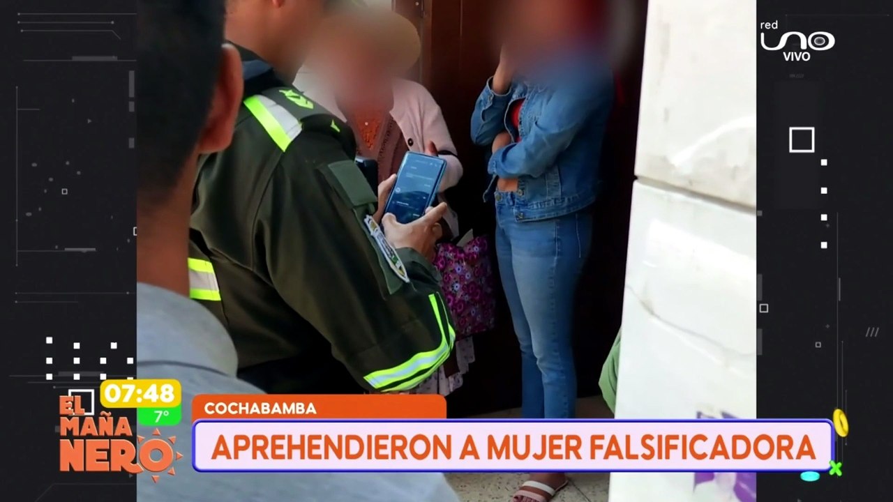 falsificadora