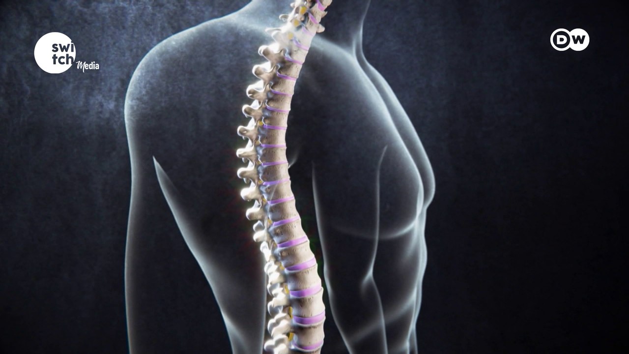The best things you can do for back pain || DW's In Good Shape