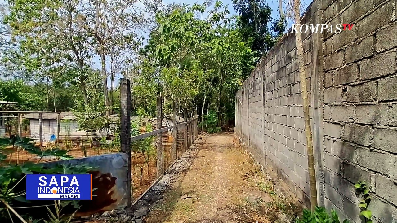 Musim Kemarau Melanda, Kawanan Kera di Gunungkidul Cari Air ke Permukiman Warga | SAPA MALAM