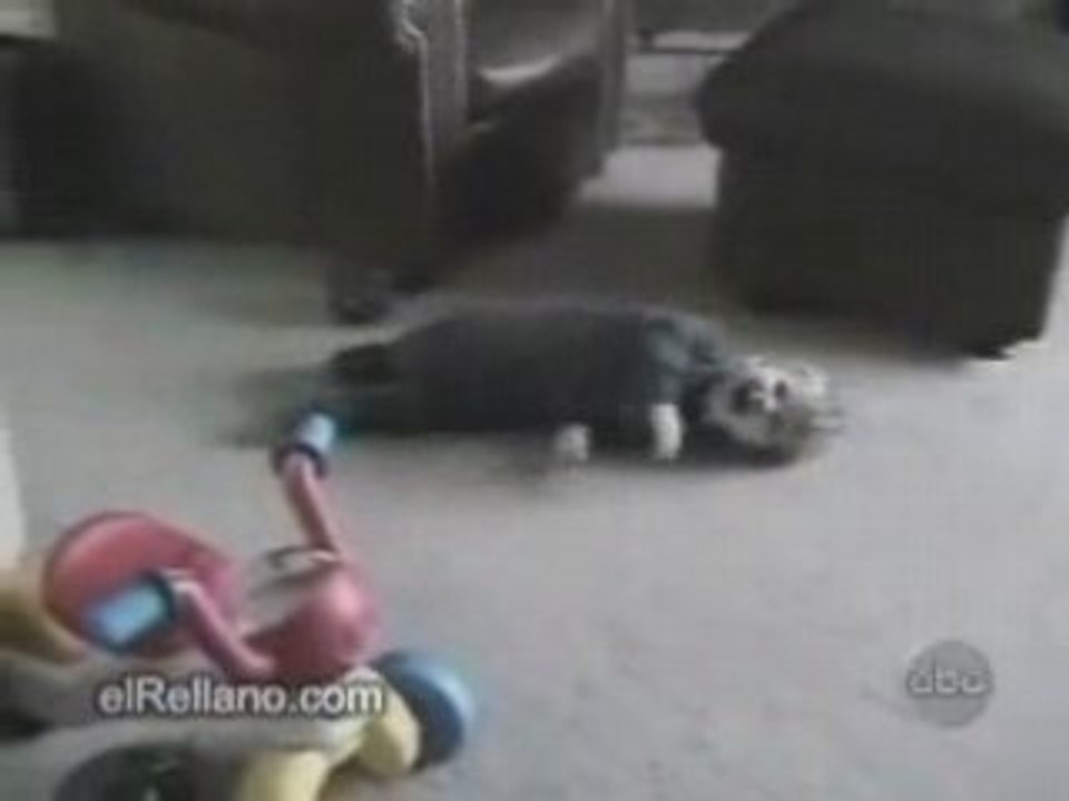 Bébé fait son cinema- caprice-
