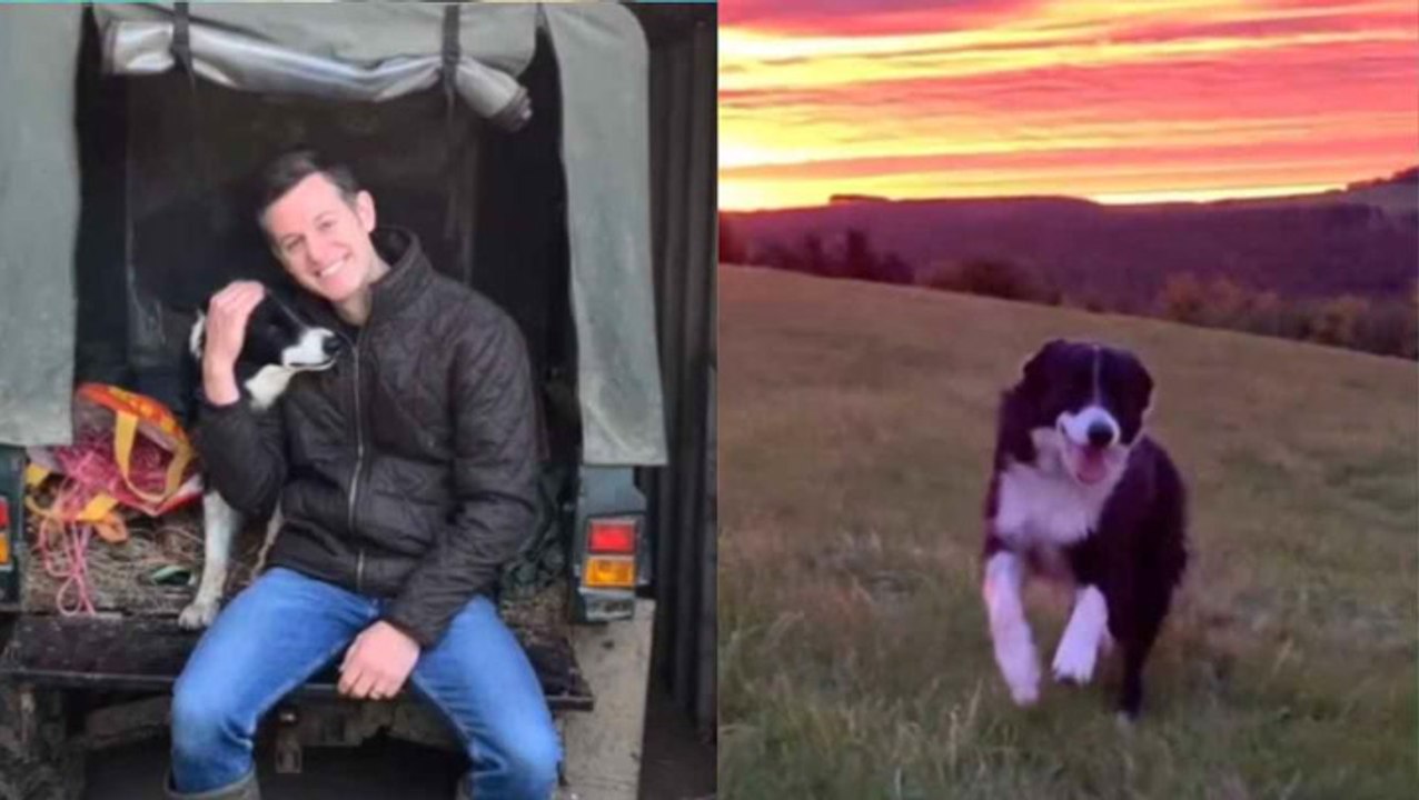 Matt Baker pays tribute to dog Bob as the ‘ultimate companion’ in touching montage