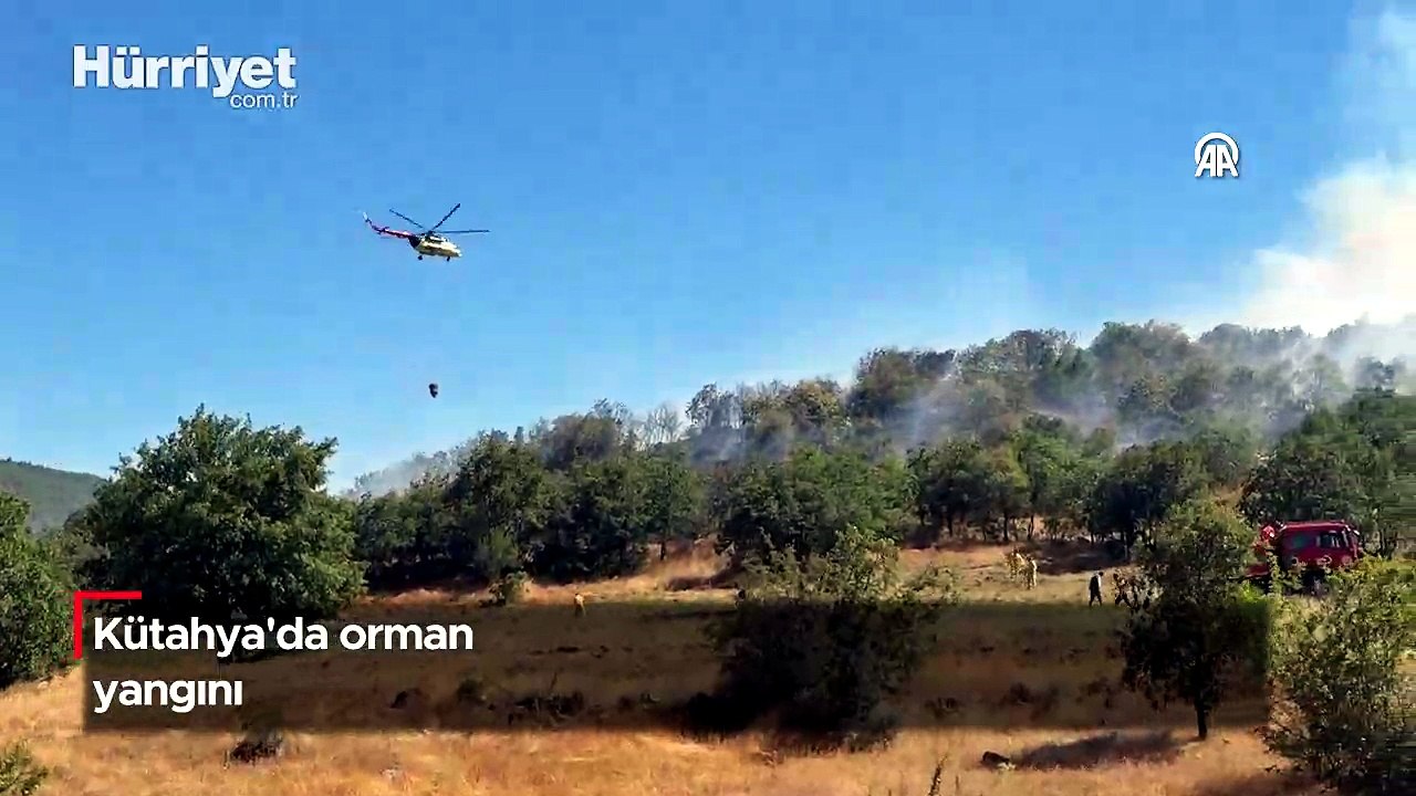Kütahya'da orman yangını