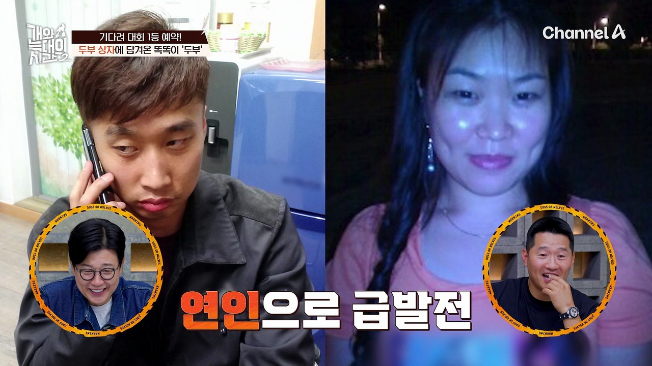 500만 원짜리 최고급 하우스에 사는 인내심甲 늑대개 '두부'?!