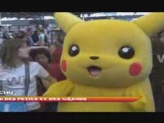 Japan Expo 2008 by ShinRyu