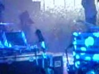 BB BRunes PaléO 2008