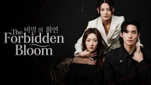 Forbidden Bloom | Secret Romance, Dangerous Love & Korean Drama - FULL EP - ENGSUB
