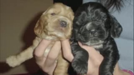 Camila - Quand j'étais petite