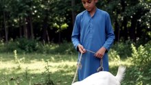 ضرور! یہ رہی 3 منٹ کی ایک دلچسپ اور سبق آموز جنات کی کہانی: