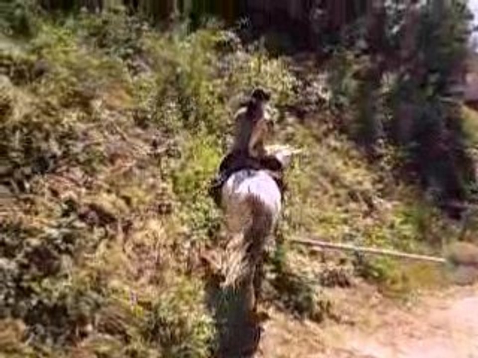 Franchissement d'une barrière