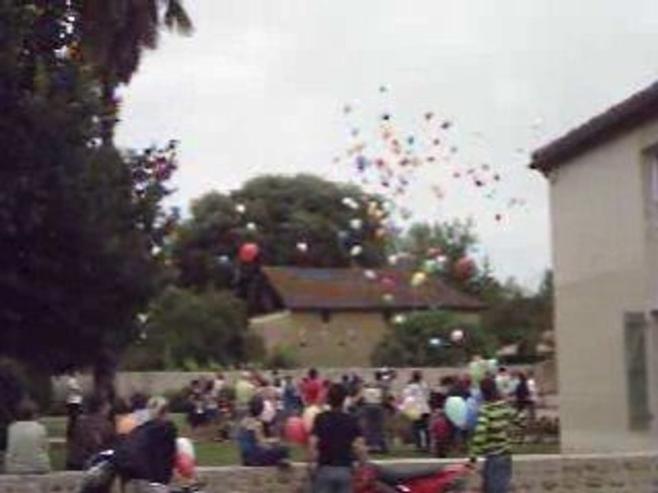 Lâcher de ballons le 24 juillet 2008