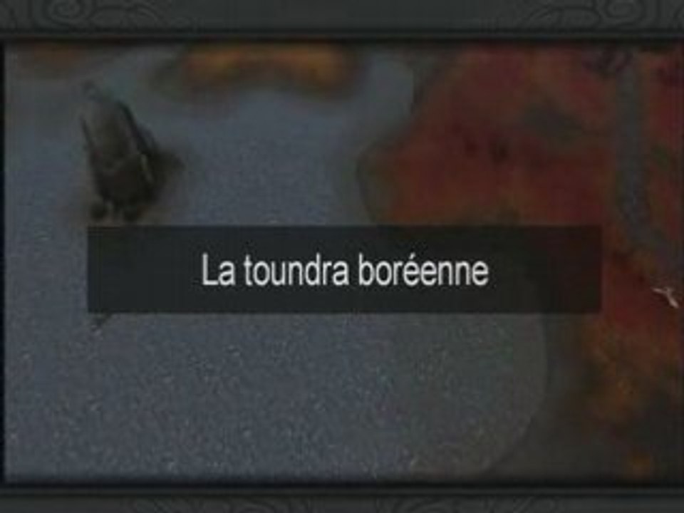La toundra boréenne (Beta Wotlk)
