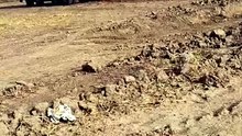Jcb excavator komastu tipper load