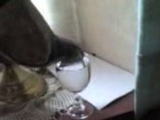 Le Pigeon (la vidéo la plus buvable du monde)