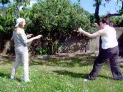 Comment devenir un maitre zen en 10 leçons.