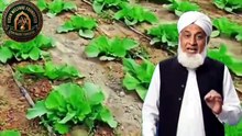 Benefits of Drip Irrigation for Modern Farming" लिखा गया है।