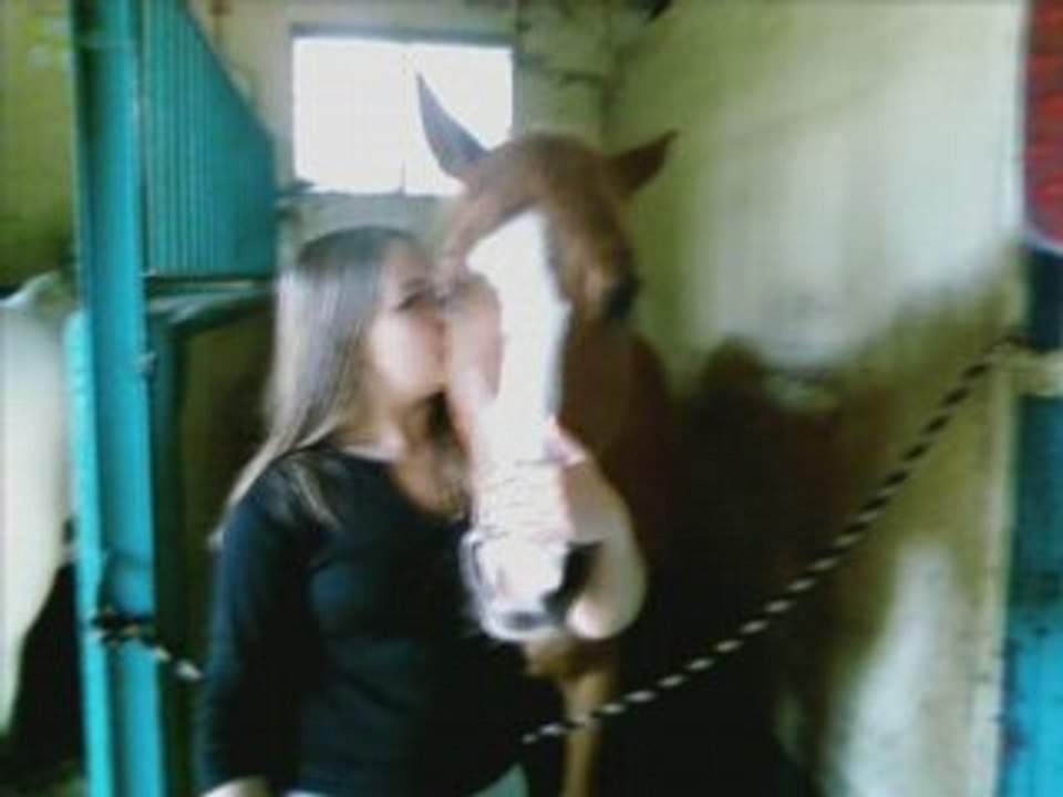 Equitation