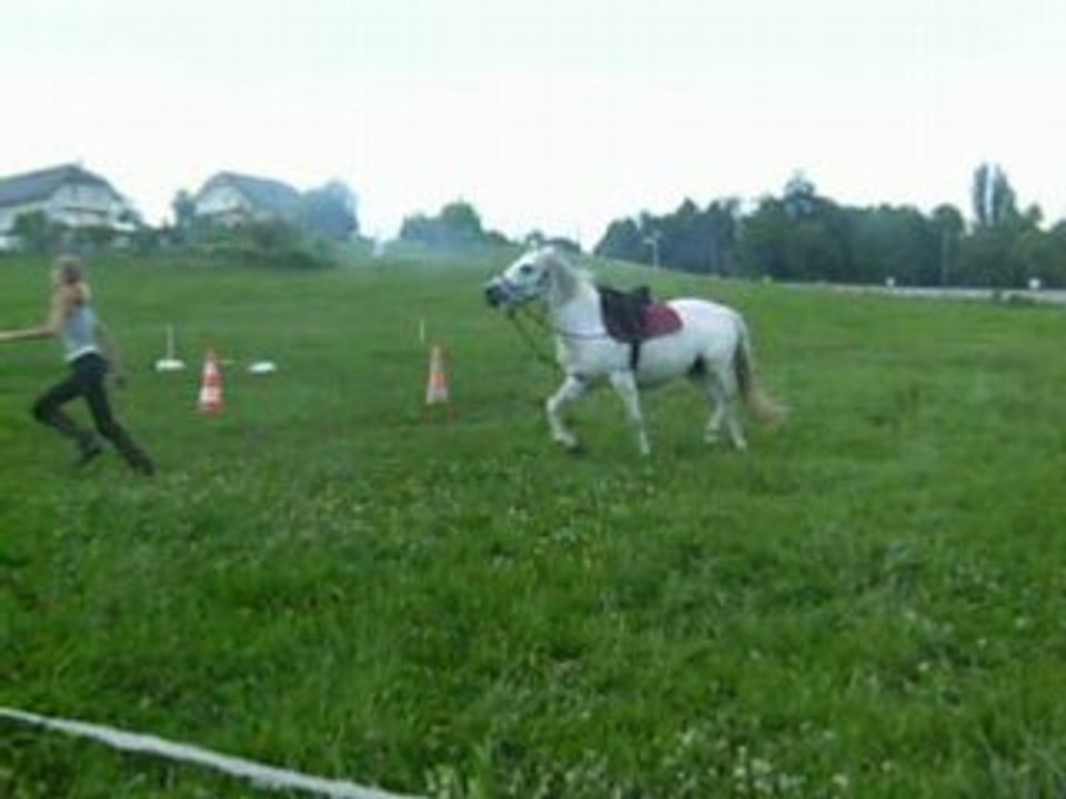 Travail monter 24-07-08