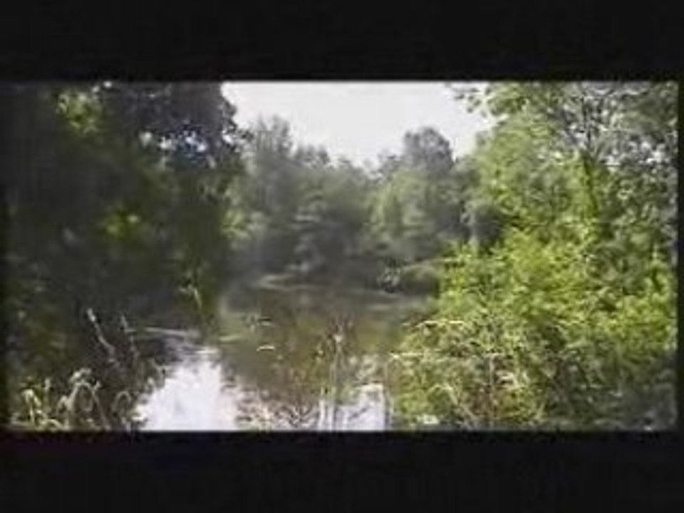Vidéoblog du 24/07/08