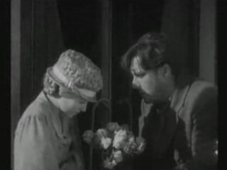 Oblio-Sunrise-Blue Daffodil Field