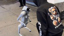 Robot Changes Direction And Posture While Moving Through Open Space In New York