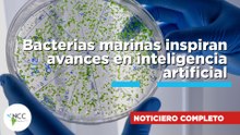 Bacterias marinas inspiran avances en inteligencia artificial -313 del 03 de agosto - 09 de agosto