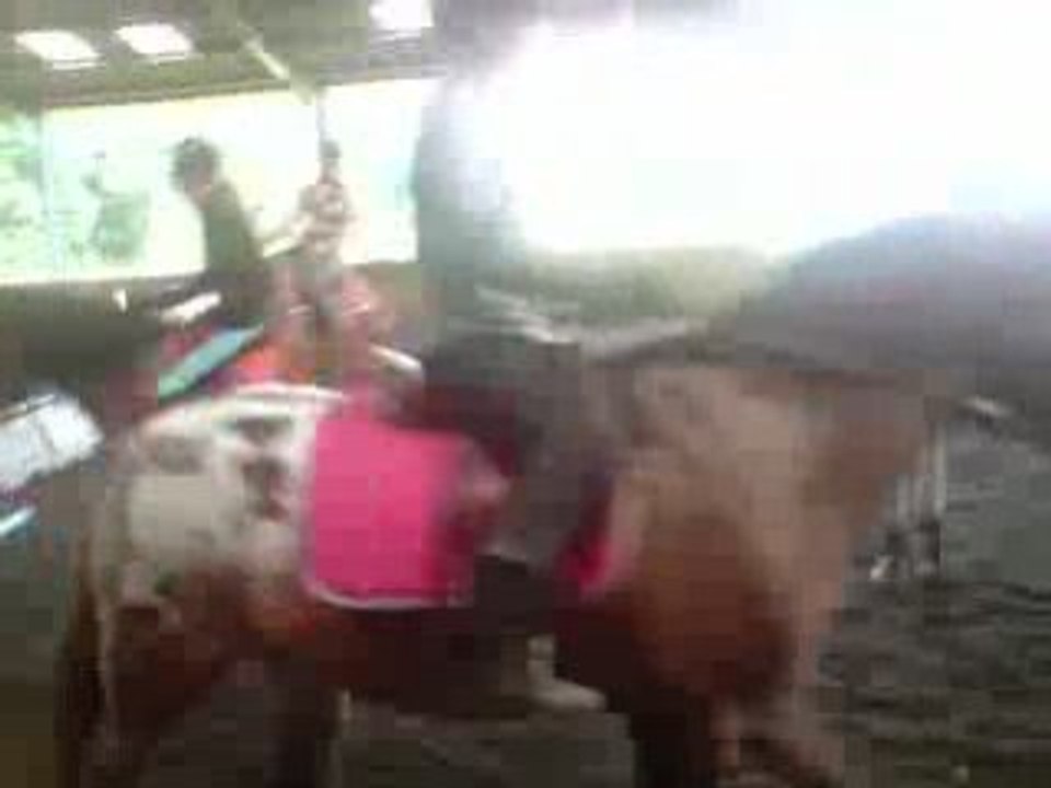 V050708_16.58
