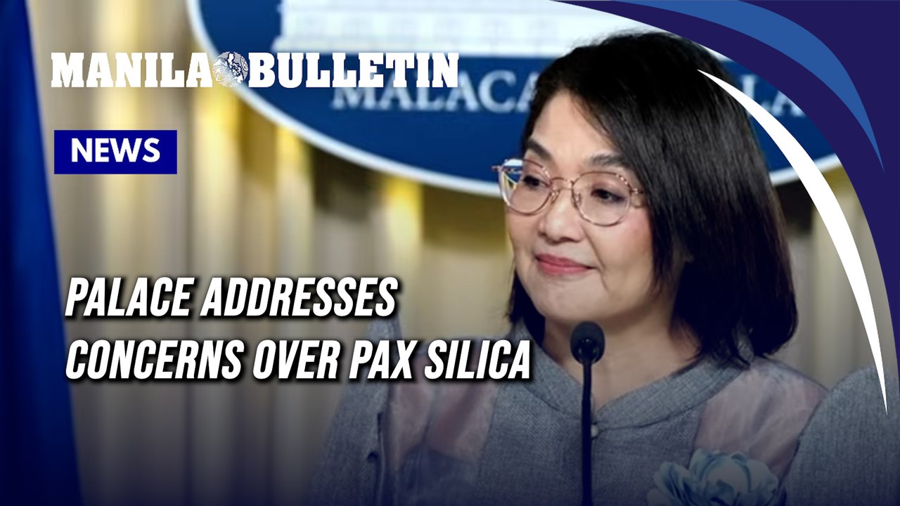 Palace addresses concerns over Pax Silica