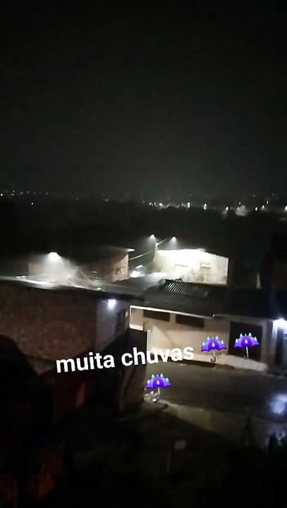 Meu dia dia