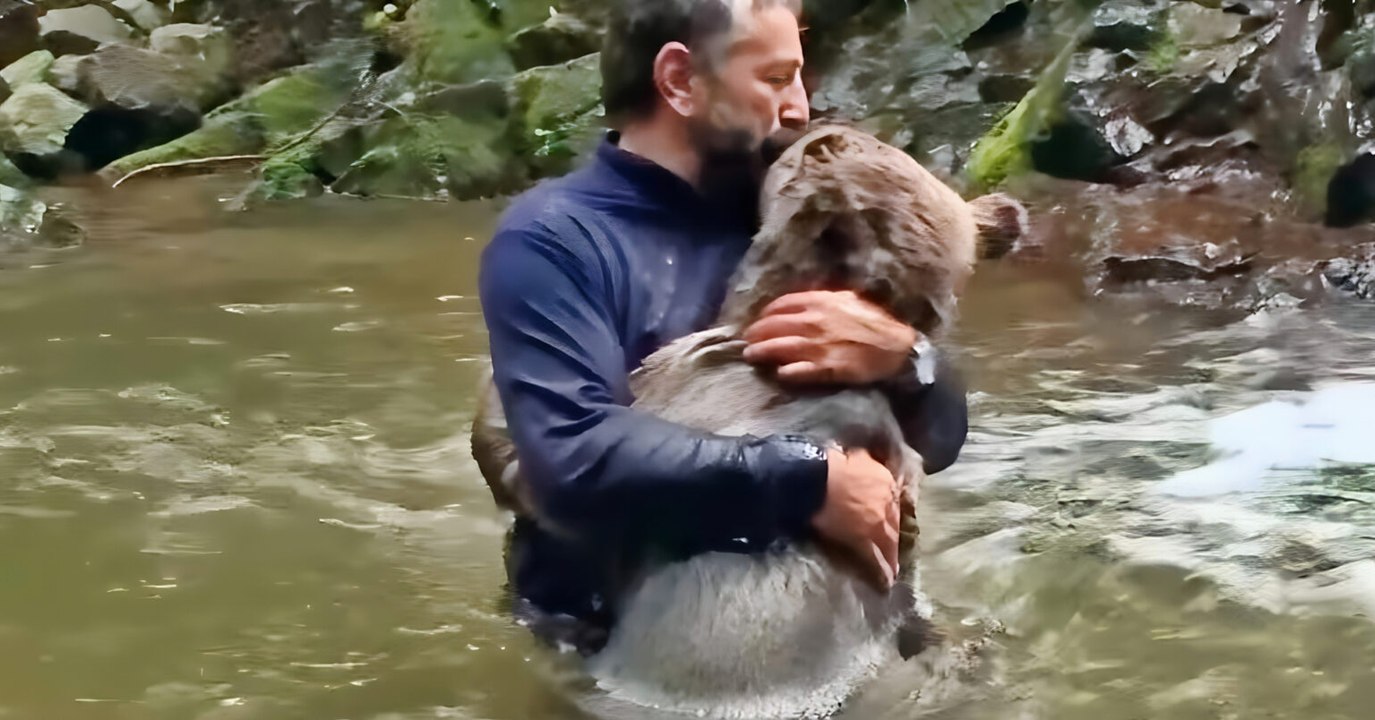 Ten Perilous Animal Rescues That Tested Rescuers' Bravery