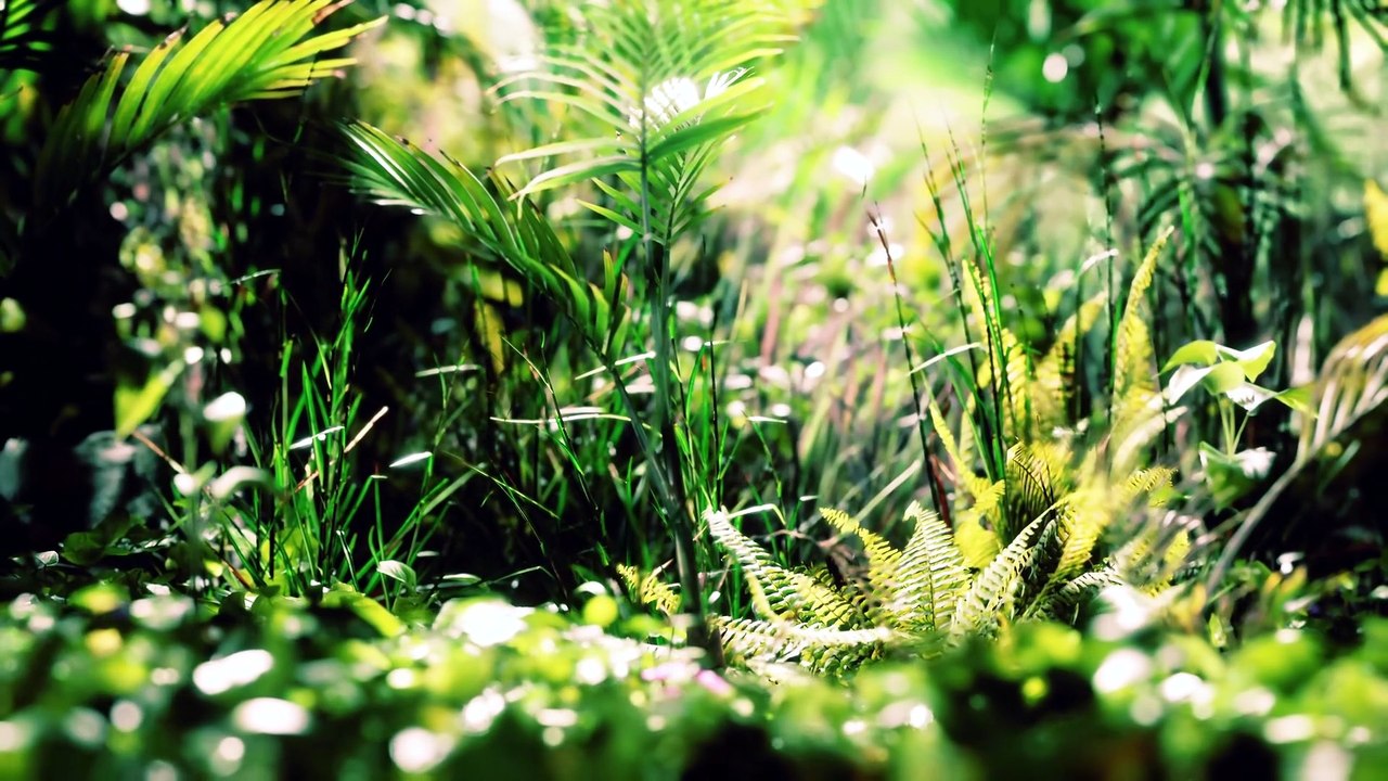 3 Forgotten Ways to Find Water on Any Land — and the Famous One That's a Total Lie