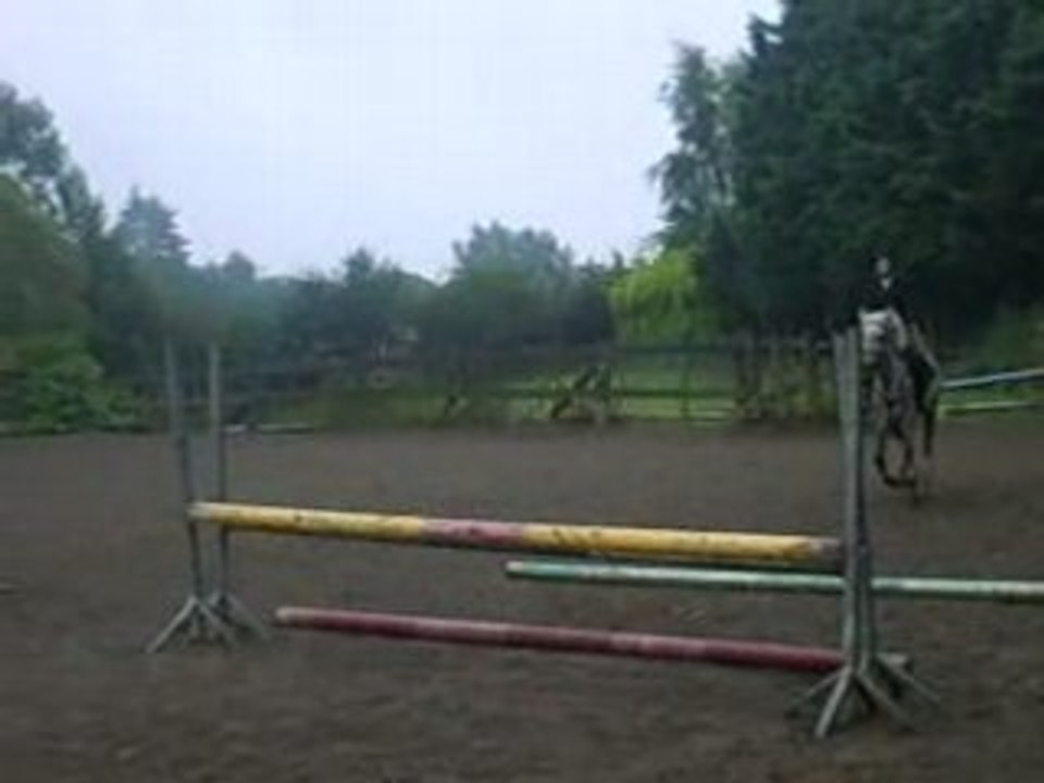 Chips et Adeline a L'obstacle