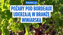 Francja. Pożary koło Bordeaux pogarszają kryzys francuskiego winiarstwa