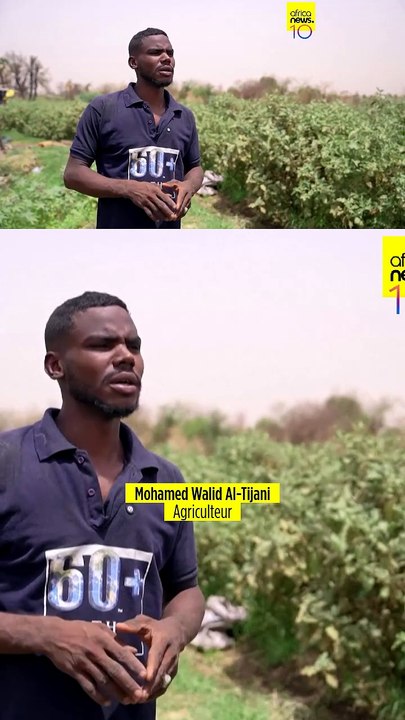 Soudan : la guerre et les tensions régionales menacent l'agriculture