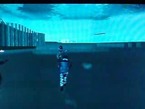 Bug gta IV marcher sous l'eau