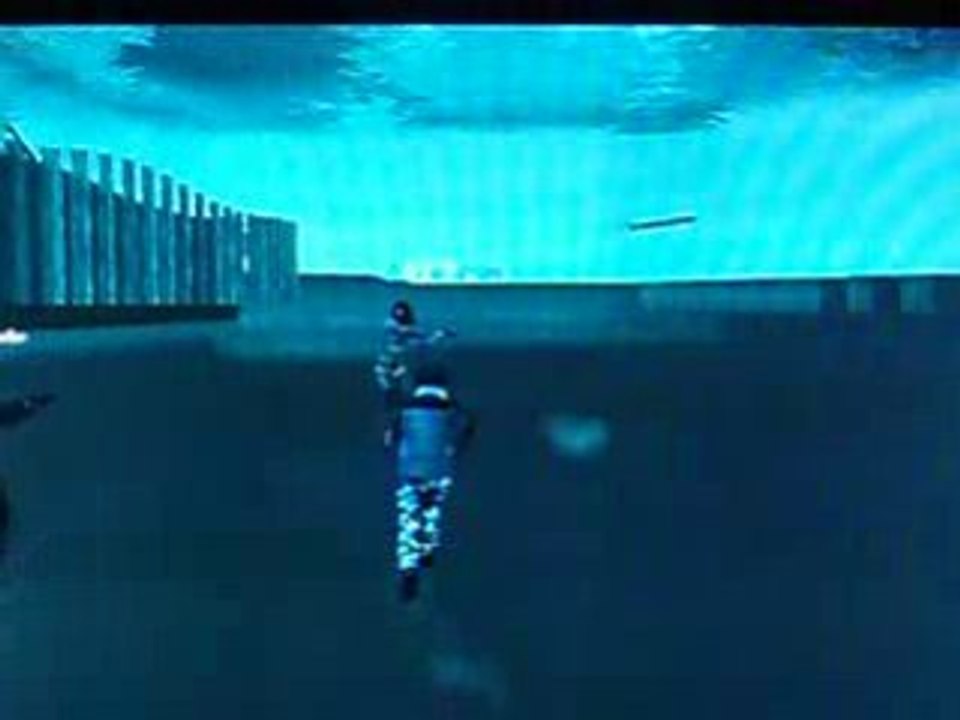 Bug gta IV marcher sous l'eau