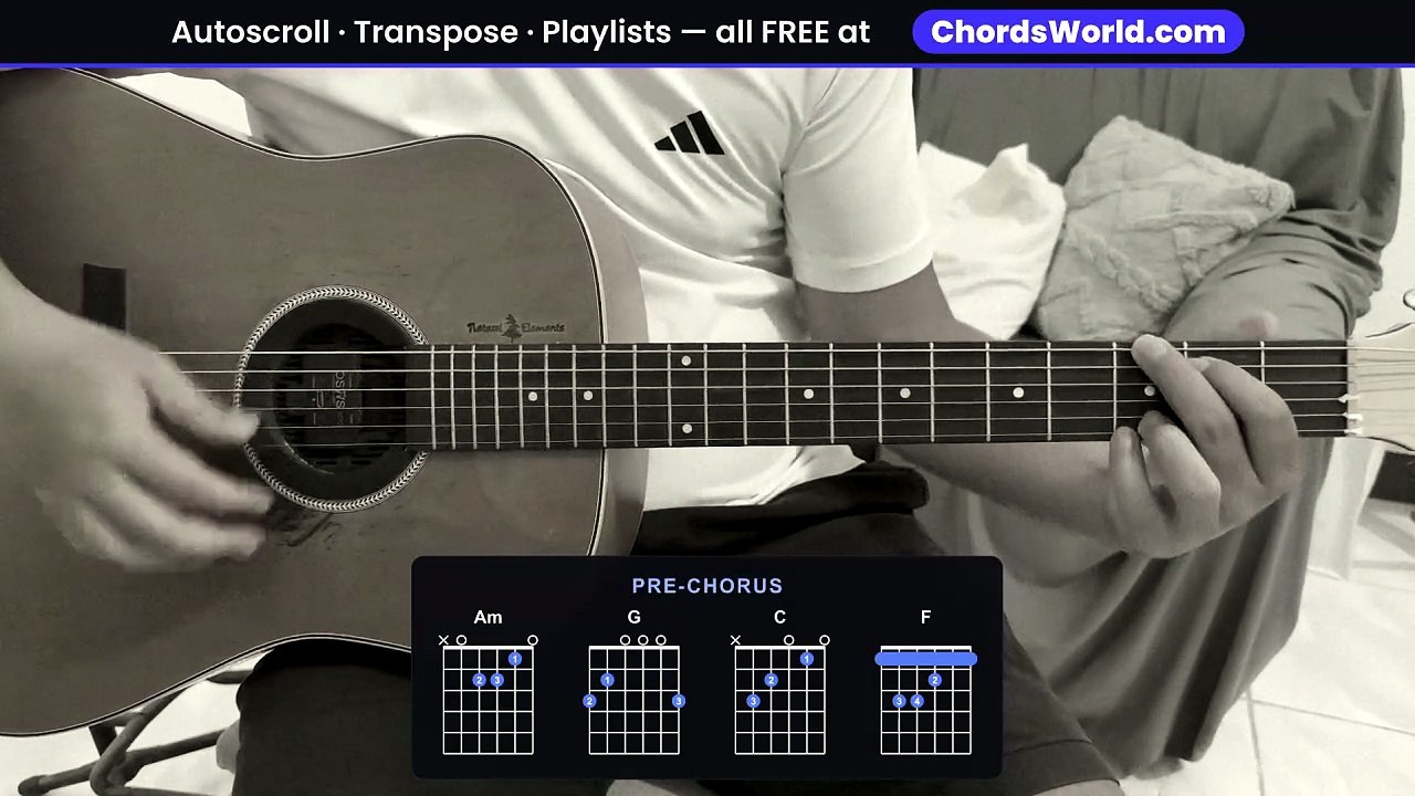 "Luckiest Man Alive" Guitar Chords/Tabs Playthrough by Buffalo Traffic Jam