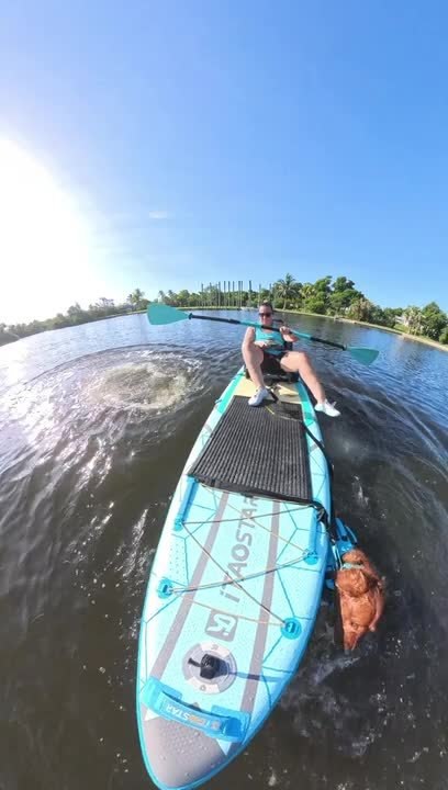Golden Retriever Jumps off Paddleboard After Getting Startled by Manatee