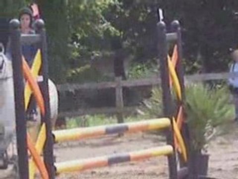 06-07-08 St Georges CSO concours