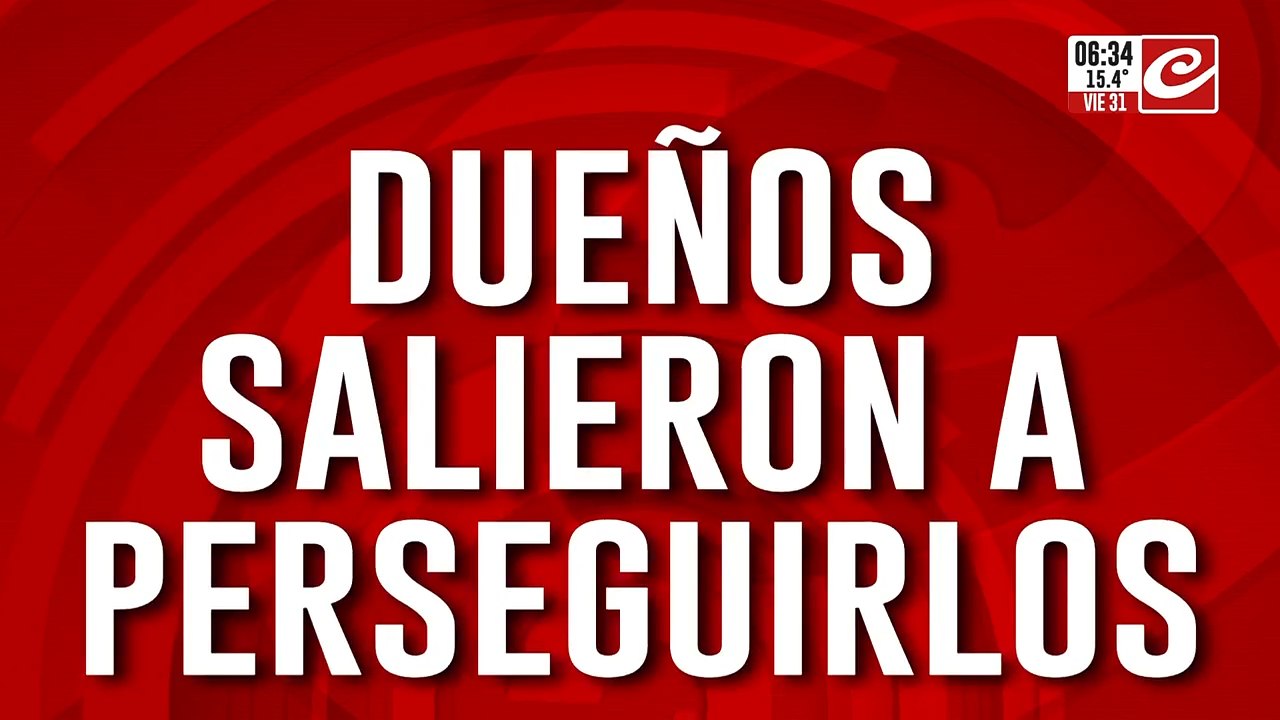 Salieron a perseguir a los ladrones y terminaron chocando contra un poste