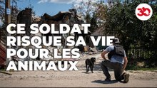 A Former Soldier Rescues Animals In War Zones | Sauvetage d'animaux