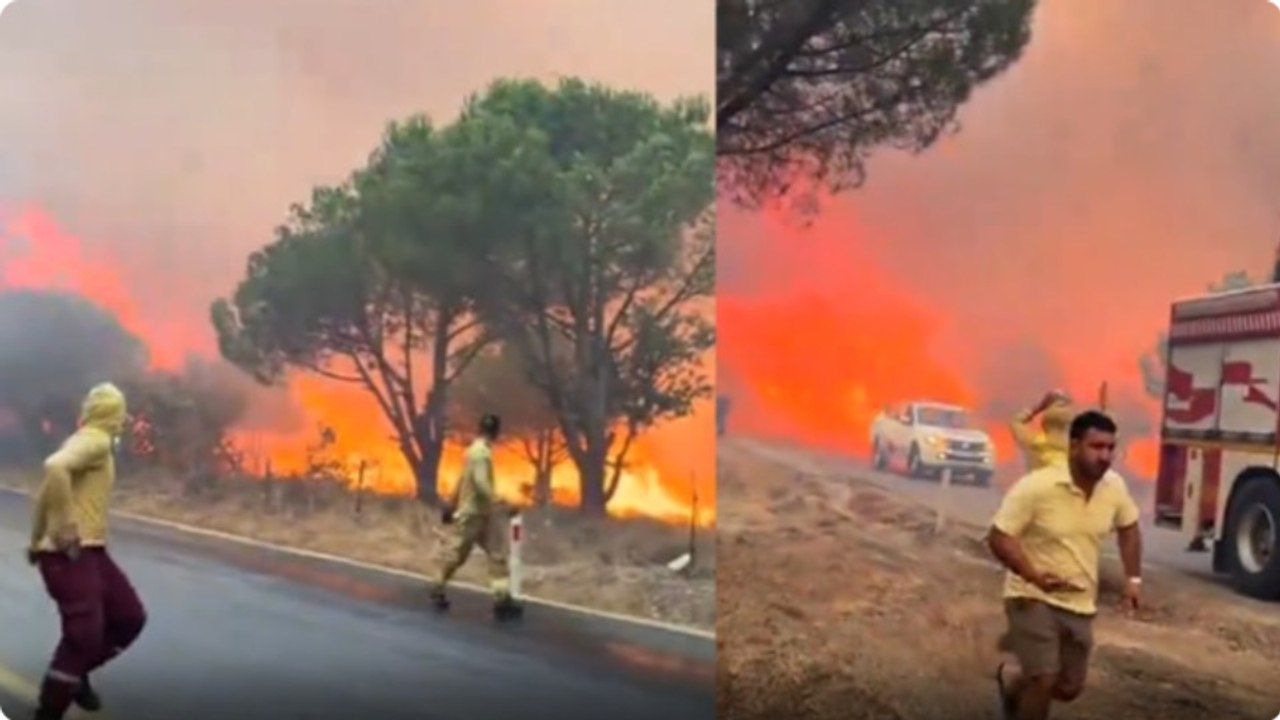 Balıkesir Gömeç'te orman yangını