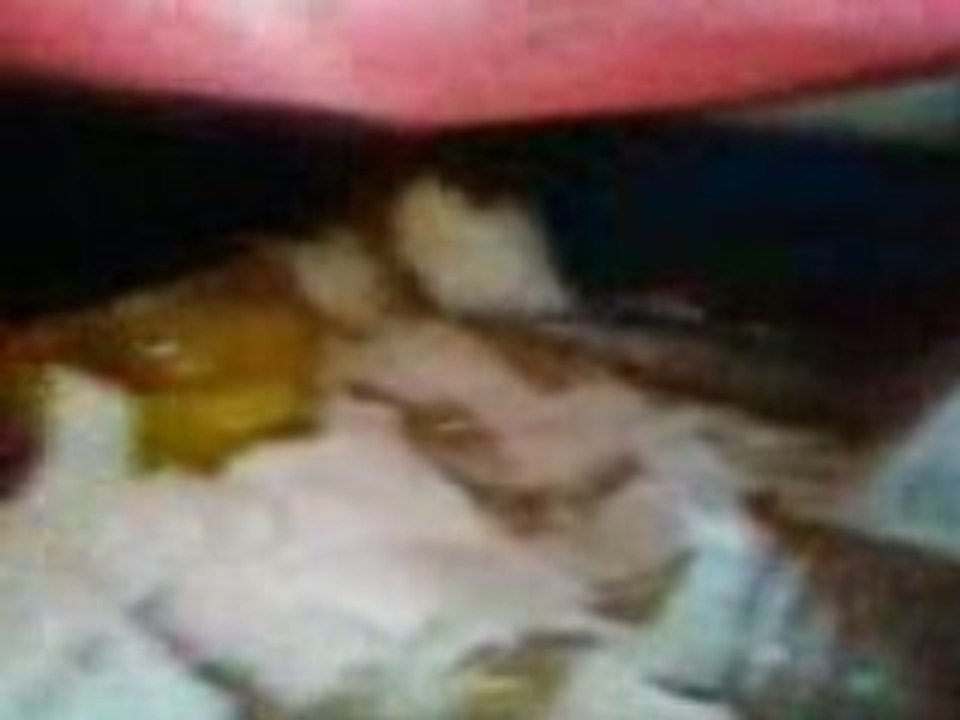tinka dans sa cage3