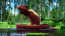 Forest Animal Videos
