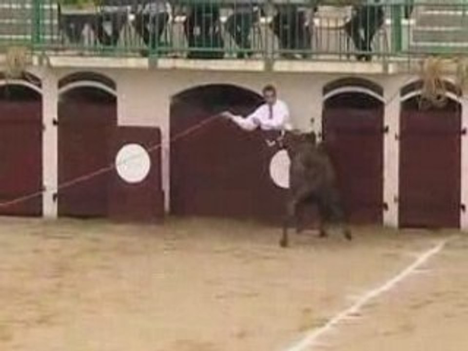 R15 / R17 Landes 6 - Course landaise