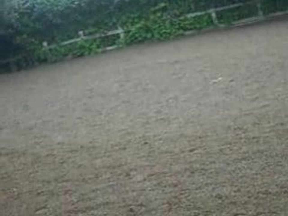 caramba et elsa obstacle
