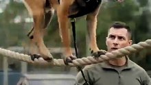 Professional K9 Dog Rope Exercise | Advanced Working Dog Training