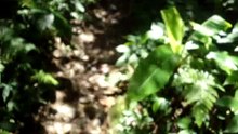 260720龍潭石門山景春步道-15