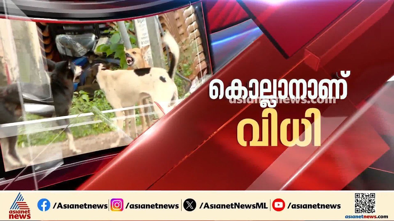 തെരുവ് നായ ആക്രമണത്തിന് പരിഹാരമോ?; തദ്ദേശ സ്ഥപന...
