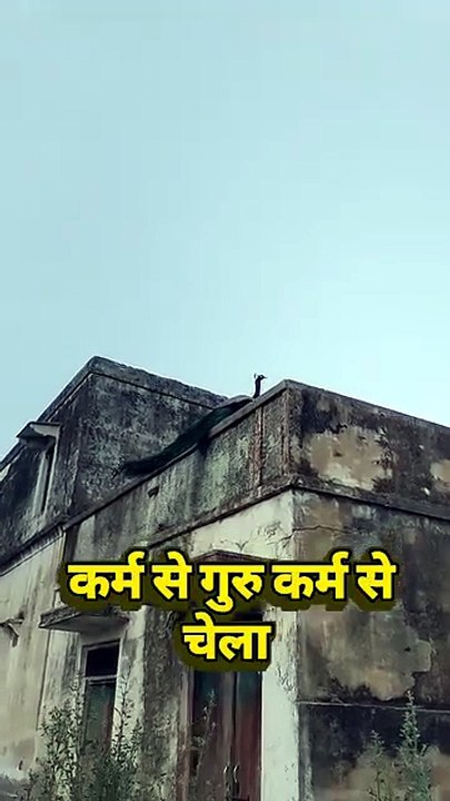 Viral short video